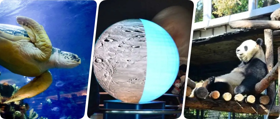 寒假倒计时！这份北京亲子游玩攻略“硬核又有趣”！