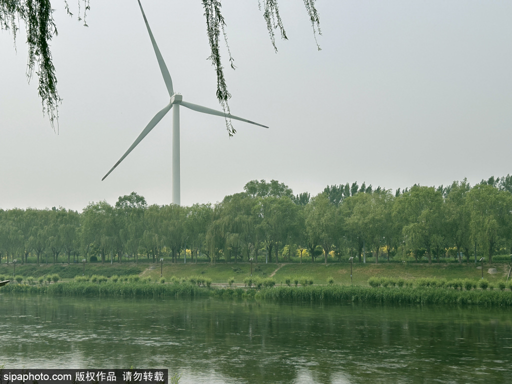 凉水河初夏美景