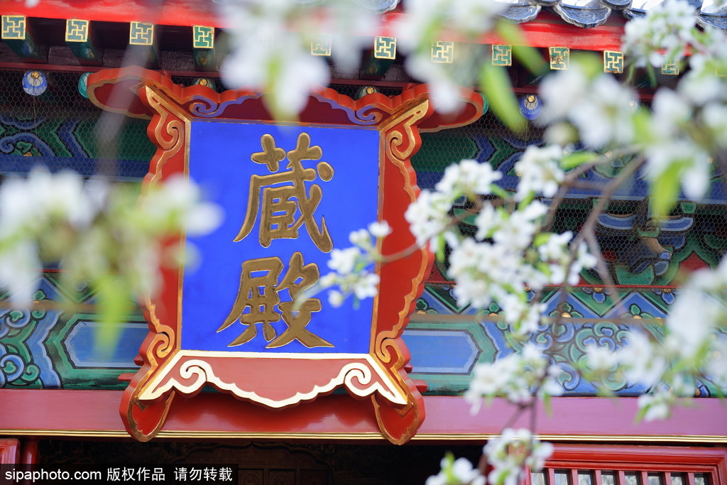 北京民俗博物馆门票图片