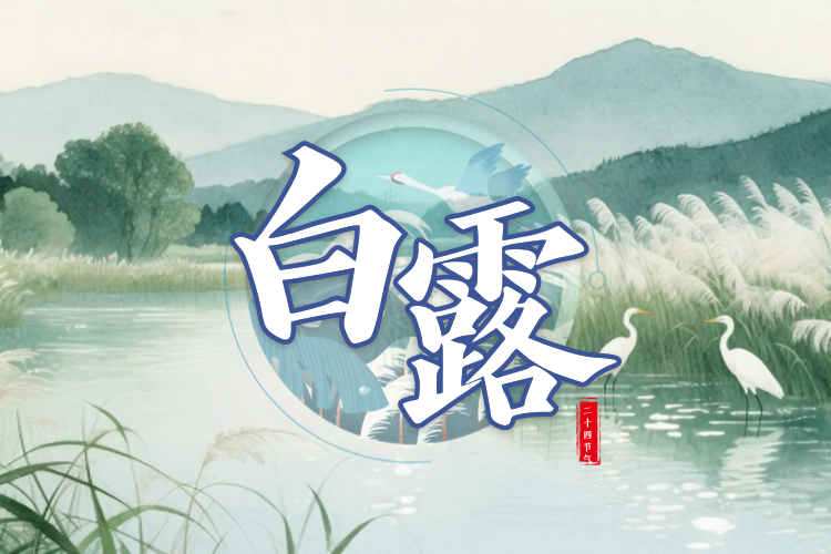 白露