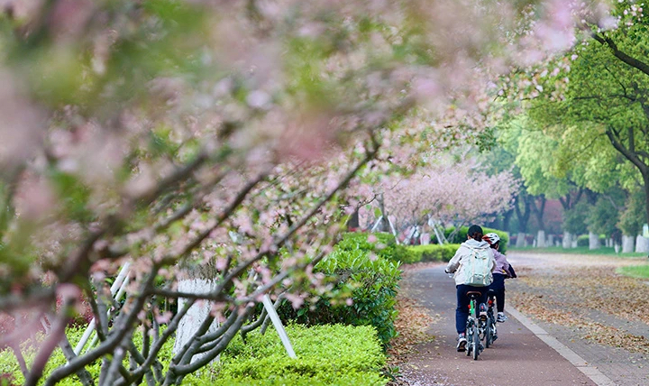 这里有一封延庆春日来信