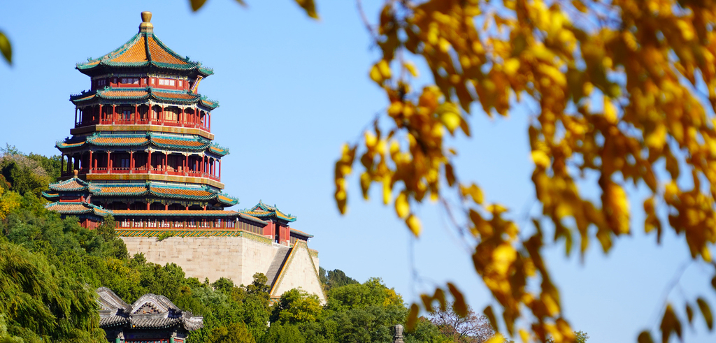 既美又飒！看北京地标建筑“换上毛绒绒”——