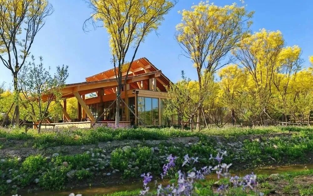 好吃好看好玩！五一相遇北京，五种玩法五种浪漫