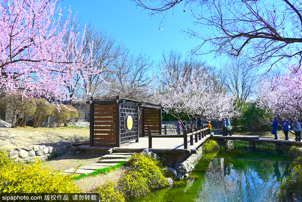北京前门藏着个 “小江南”！三里河公园春日刷屏