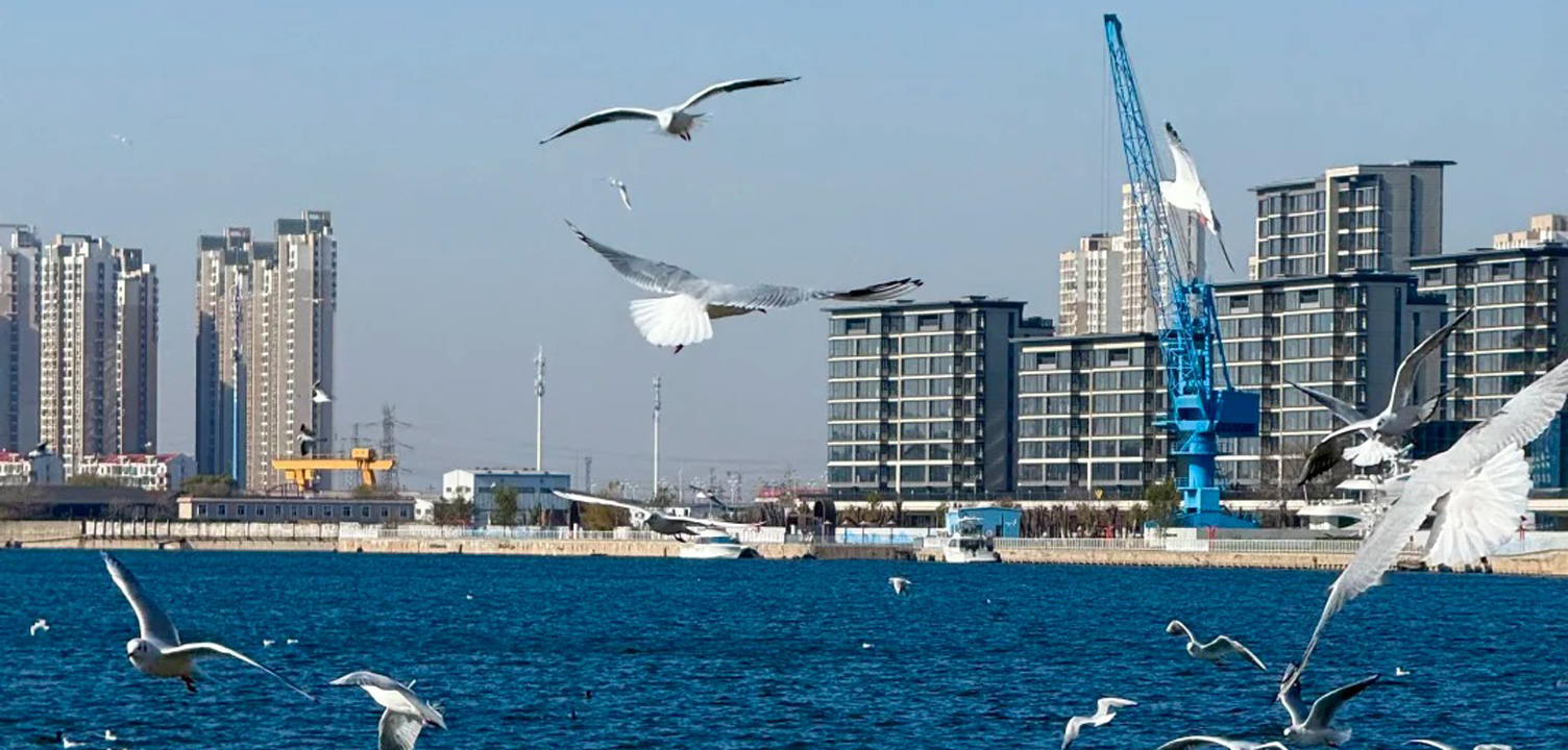 冬日限定奇观！北京出发1小时！浪漫浓度100%