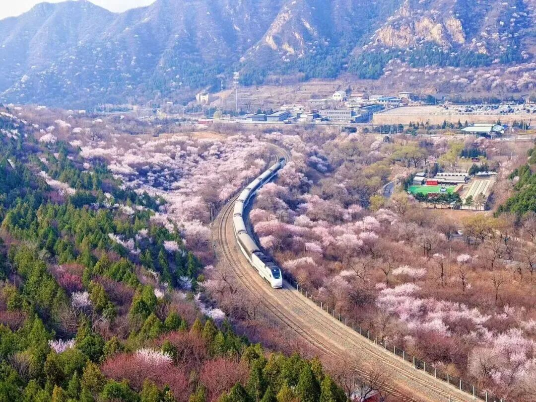 放春假了，来北京研学旅游呗——北京推出10条“漫步北京-春假清明研学主题游线路”