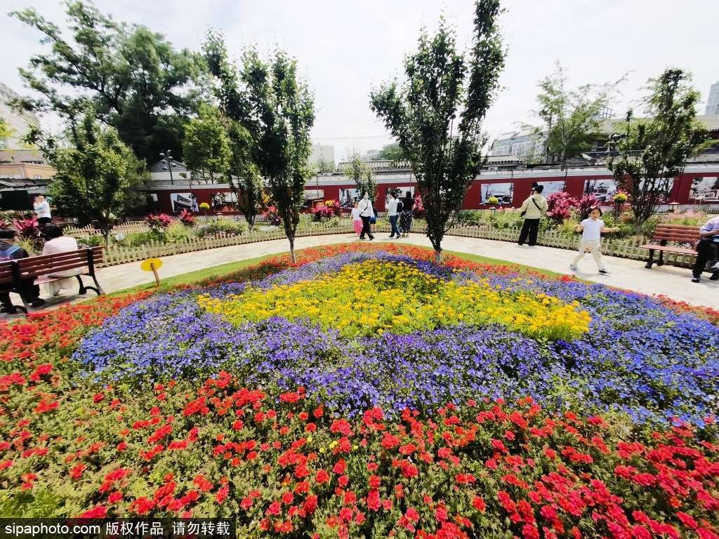 北京艺术博物馆“后花园”百花争艳变成大花园