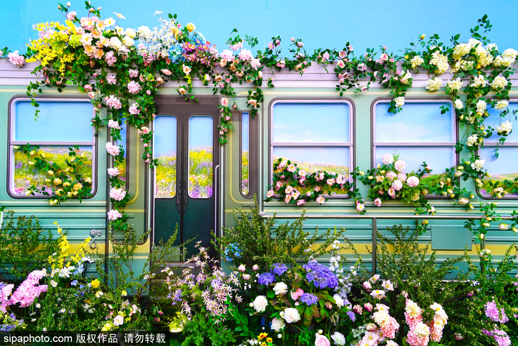 长楹天街百米花廊