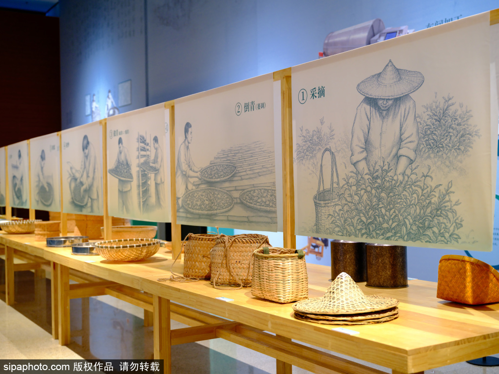 岩骨正气 和合致远——“三茶”统筹的南平实践展