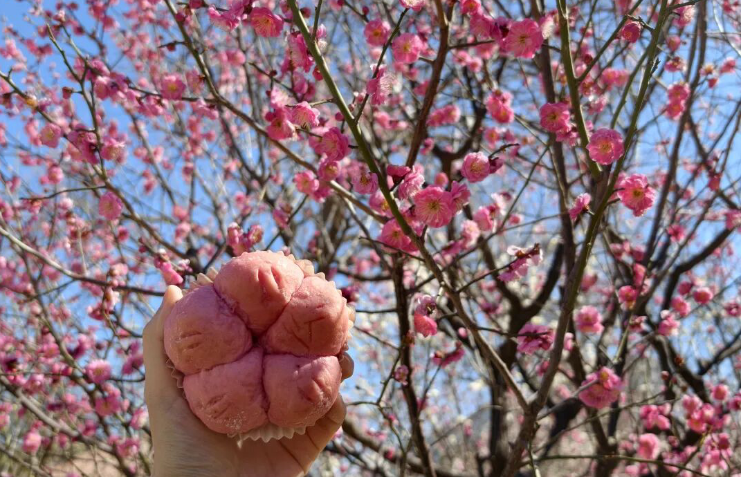 尝春鲜、走花路、穿新衣……被东城这波“春日经济”硬控了！