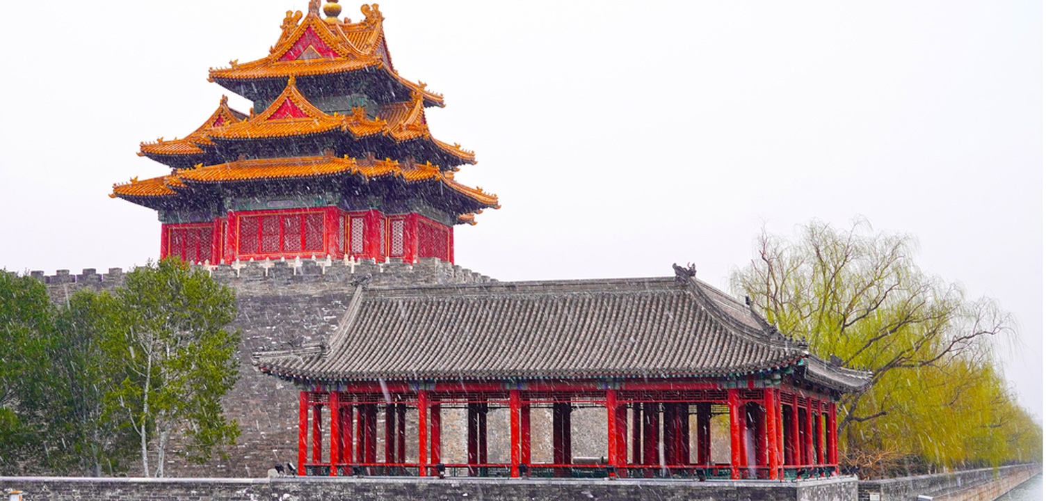 多图！北京三月闪现“桃花雪”，桃花与雪花同框美翻了