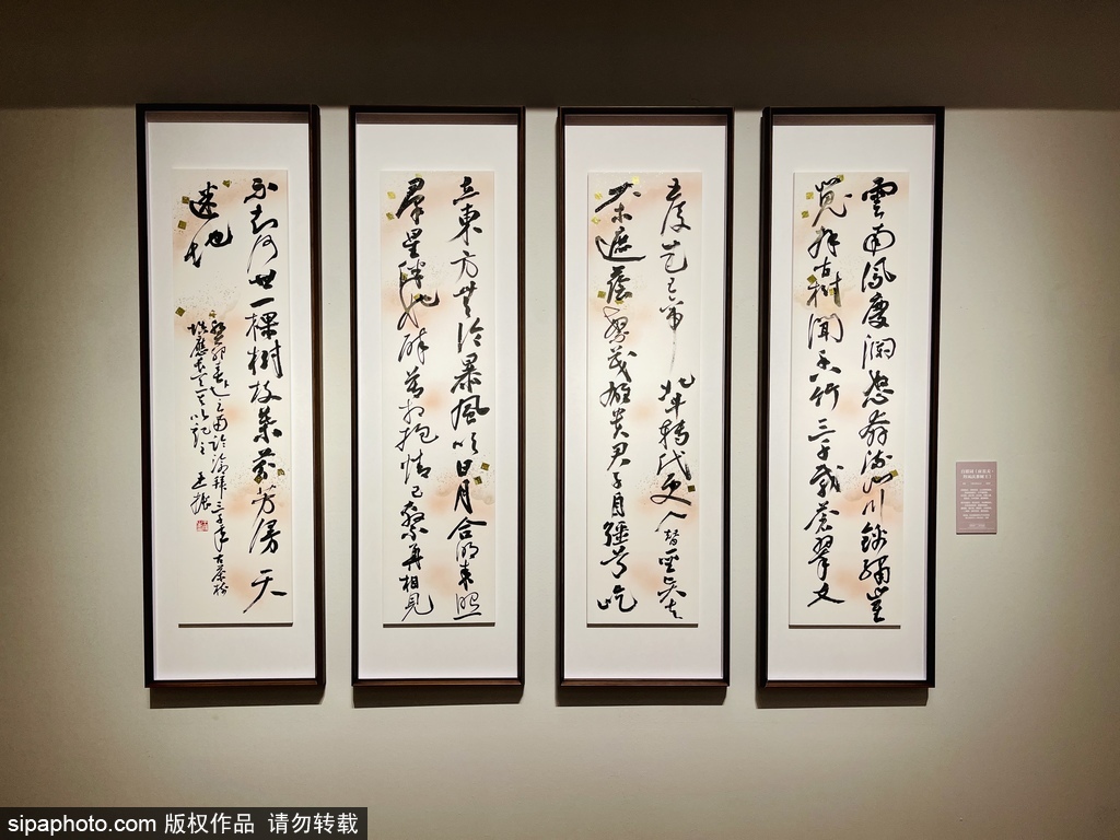 Poetry Charm of Calligraphy Exhibition of Wang Zhen’s Calligraphy Works