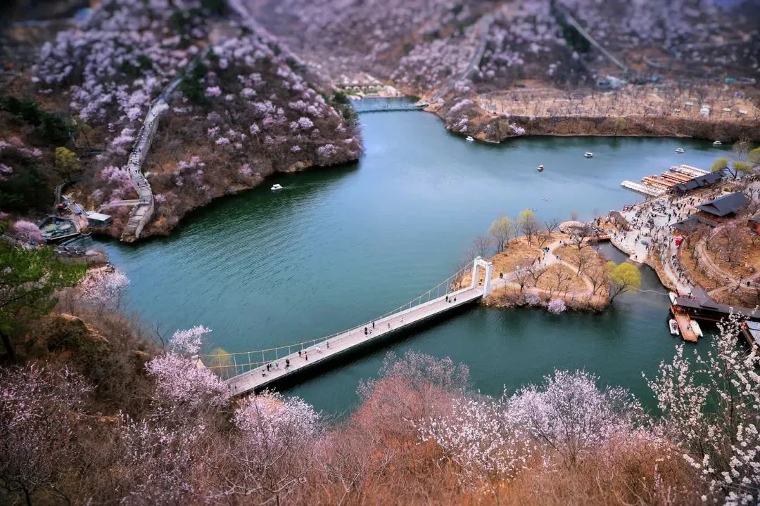 北京市文化和旅游局发布“北京春日十大赏花胜景地”：怀柔水长城