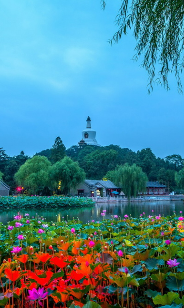 Beihai Park launches night tour