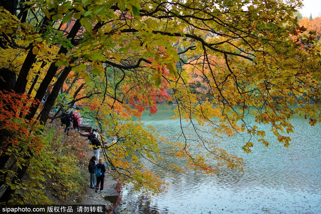 一起漫步在秋天的北京，留下属于自己的记忆～