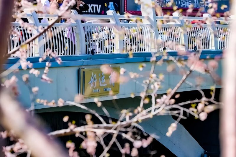 В Пекине открывается сезон навигации: ознакомьтесь с путеводителем по прогулочным маршрутам