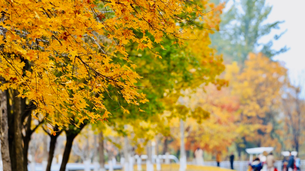 跟着王赫野的野风来到北京