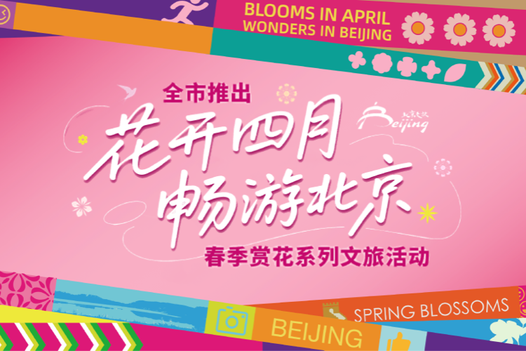 花开四月 畅游北京