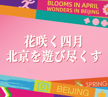花咲くの北京四月