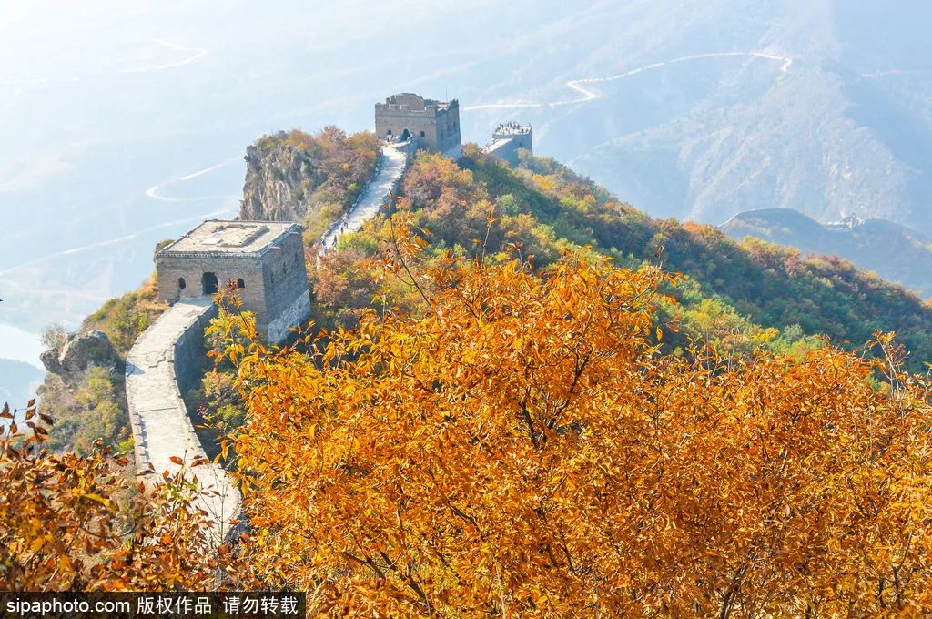 万里の長城に登り、秋の色彩を共有しましょう｜司馬台長城