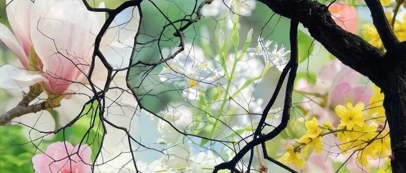 快看！开了开了！北京3月花海预报——