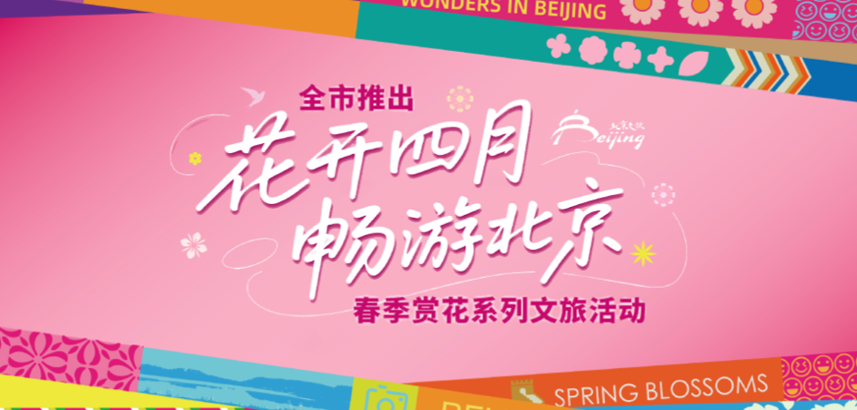 花开四月 畅游北京