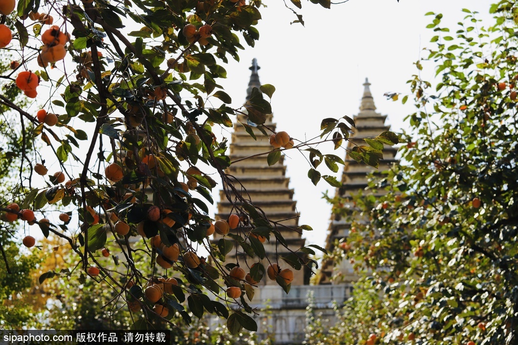 北京五塔寺原来有这么多名字