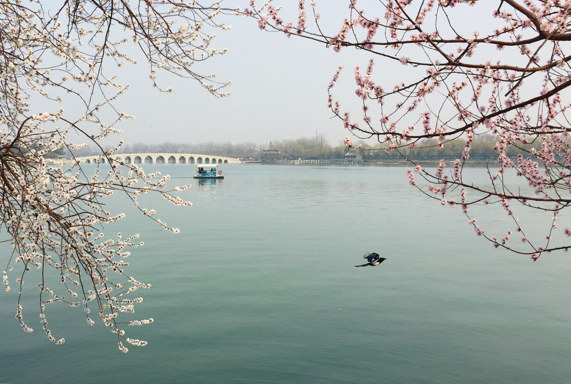 颐和园：营造史融入多民族智慧