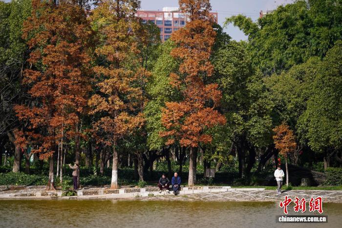 冬季养生，一日三餐怎么吃？