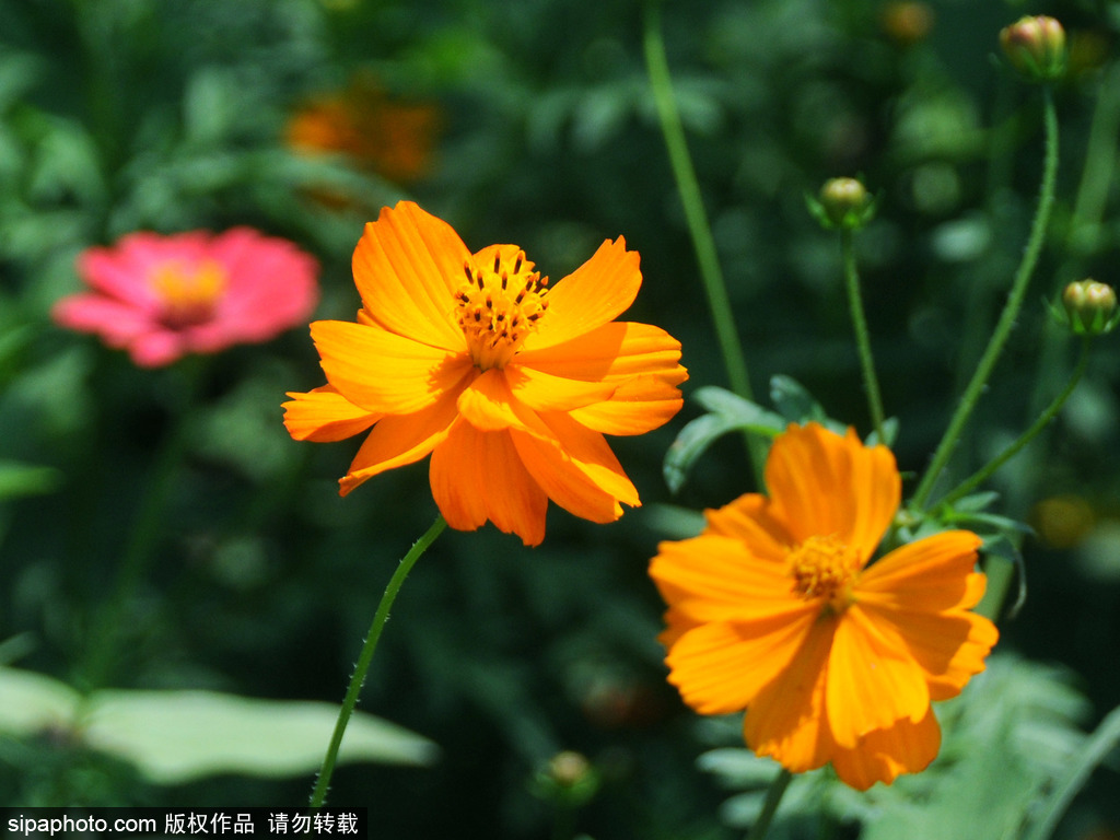 白露秋风起，活动正当时