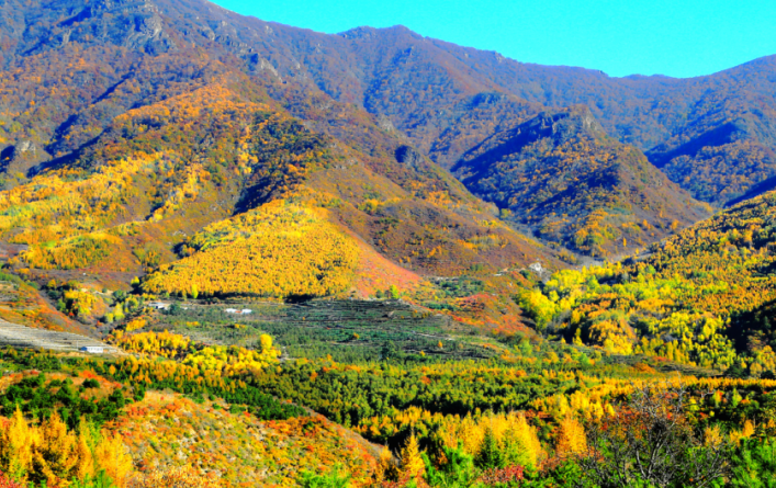 门头沟秋意正浓，百里大山即将迎来色彩盛宴！一起来邂逅秋日浪漫