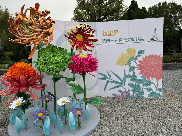 花开北京·2024北京菊花文化节