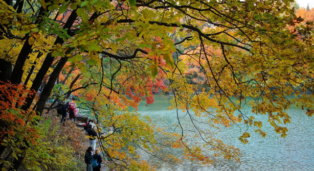 一起漫步在秋天的北京，留下属于自己的记忆～