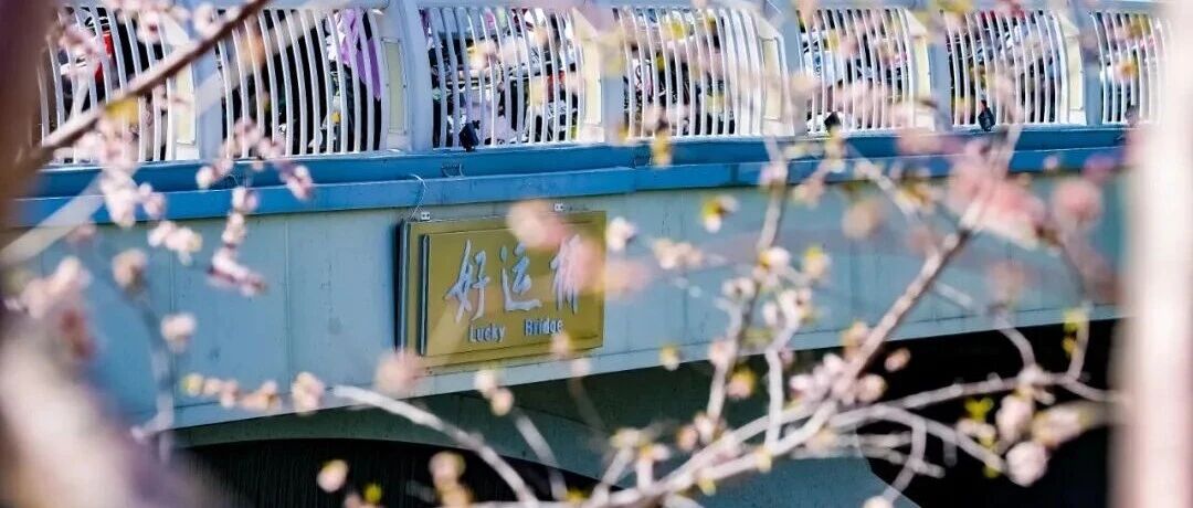 倒计时！去北京这里乘一船春色，看两岸花开！