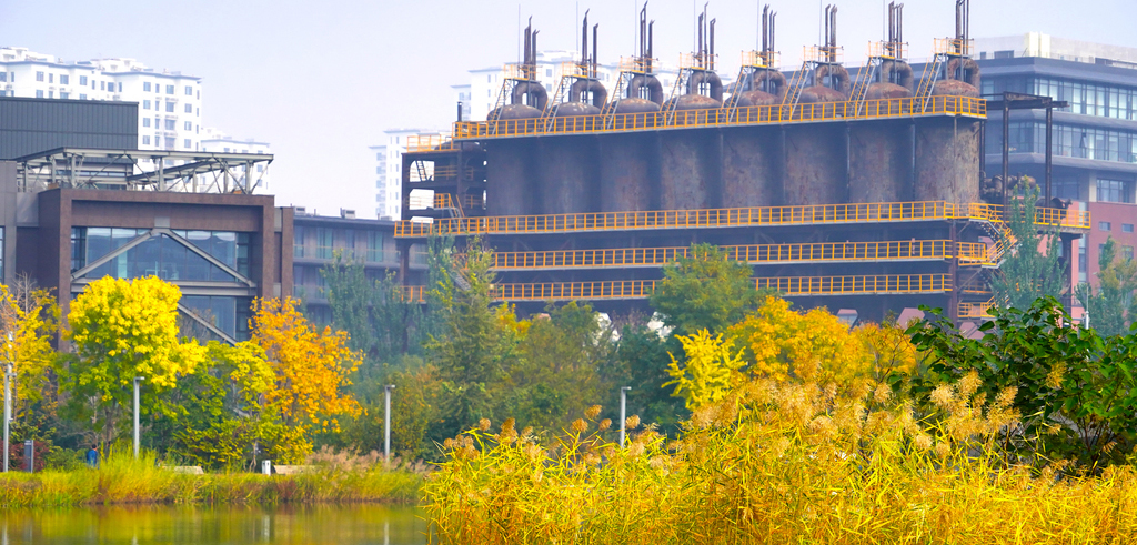 奇观！桃花逆寒盛开！北京的秋冬有多“热闹”——