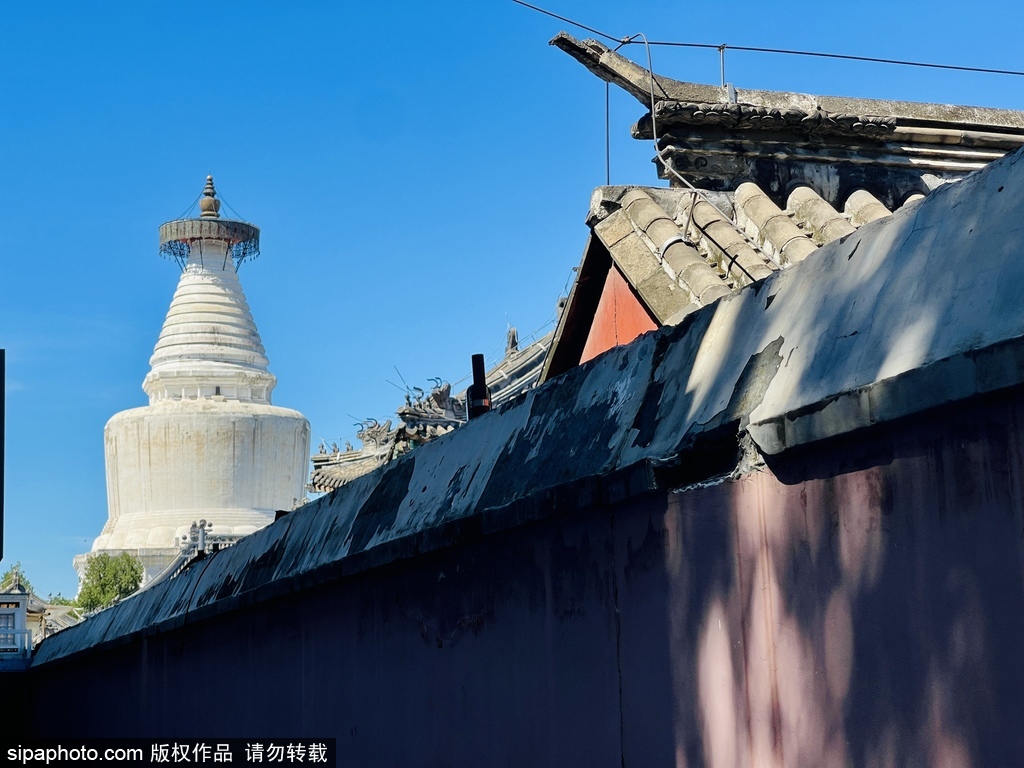 再次启航，感受北京美景美食