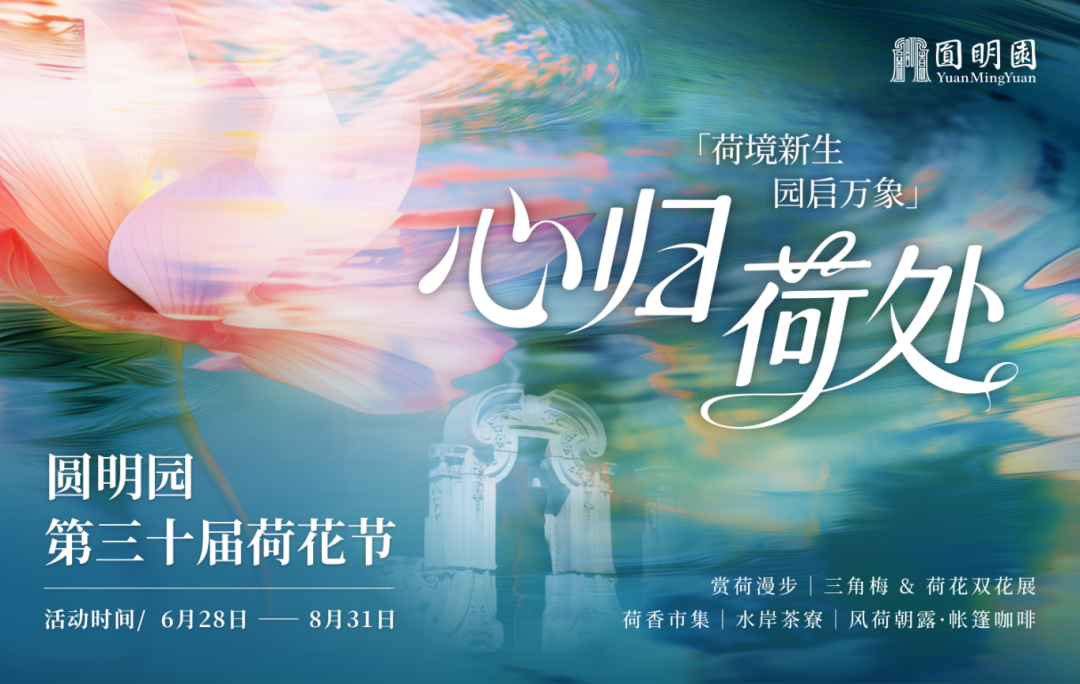 圆明园浩然亭夏日水边品茗观荷
