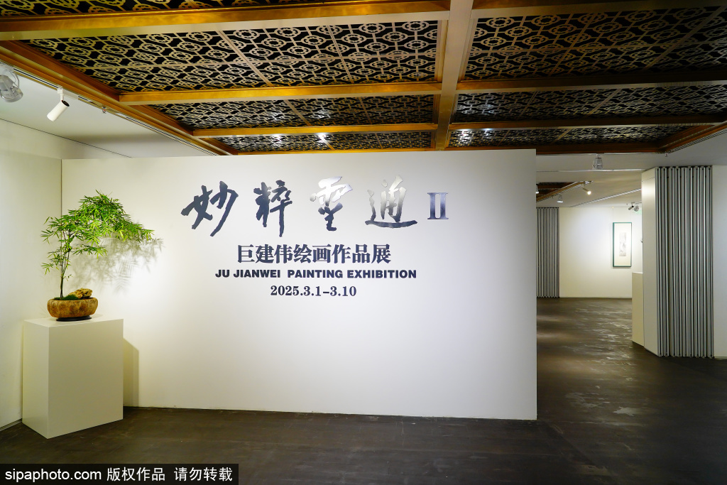 巨建伟绘画作品展 传统与当代交织的水墨盛宴