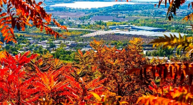 人少景美！北京这些“秋季限定”进入倒计时！