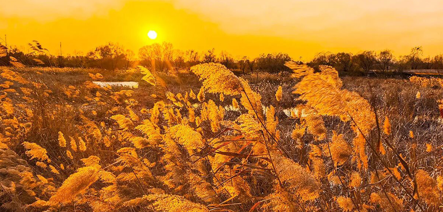 明天起，接下来的北京，令人疯狂期待！