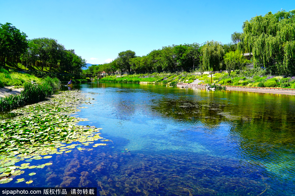 立夏已过，接下来的北京是这样的——