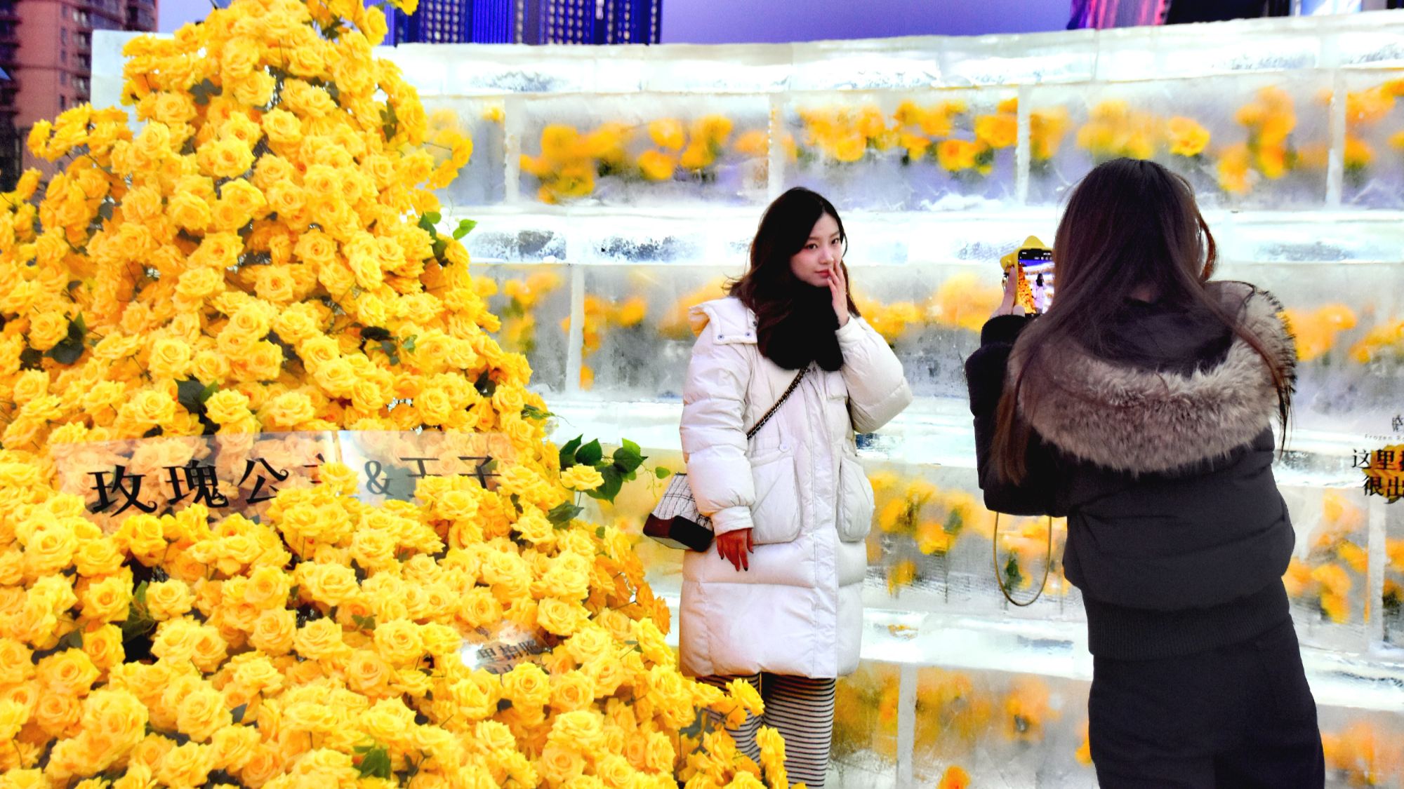 Город Харбин: Впечатляющие пейзажи замерзших роз