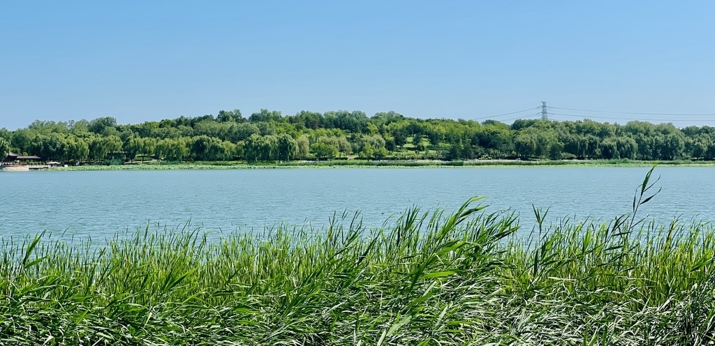 Discover newly opened parks in 2025​​