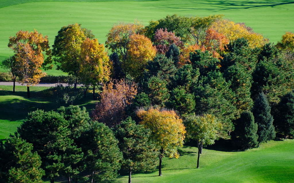 Come and enjoy the autumn scenery by lakes in Beijing