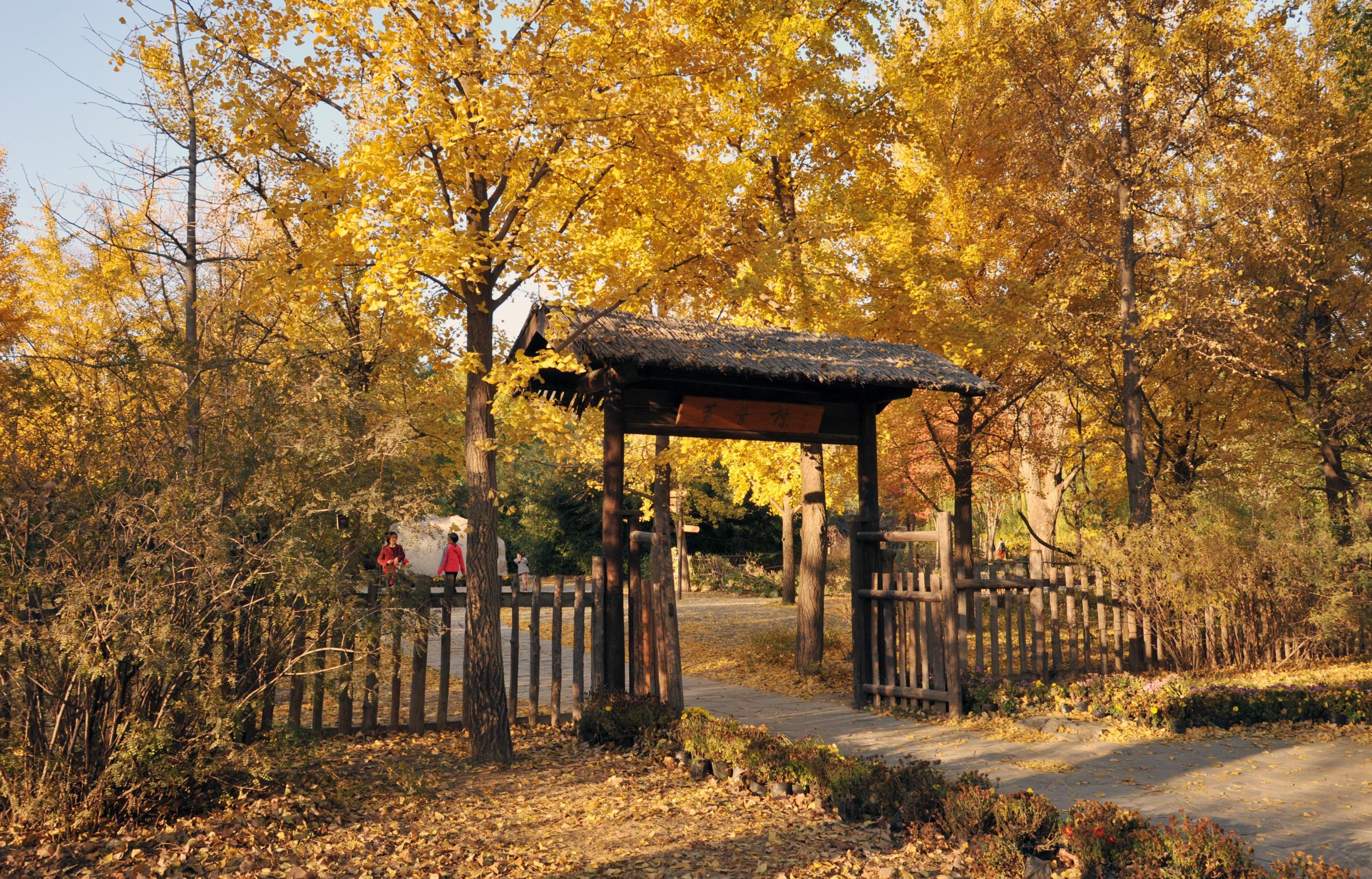 在曹公故里听风读往事