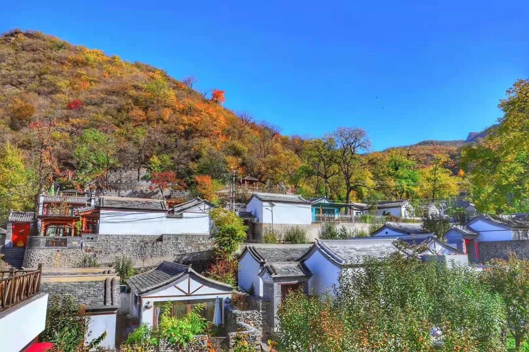 藏进京西山坳里的「国字号秋光」：全国乙级民宿——云隐里，把慵懒酿成诗
