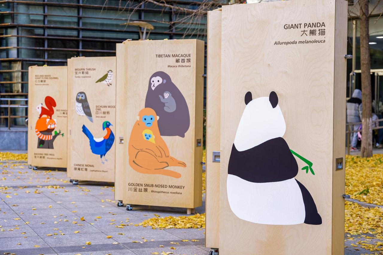 国家动物博物馆发布四条大熊猫国家公园自然教育线路