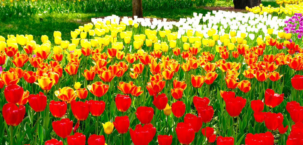 清明假期，北京活动汇总来了——