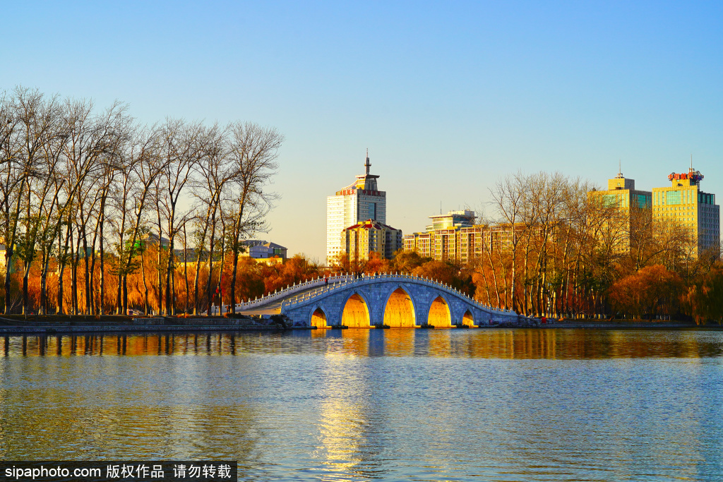 玉渊潭中堤桥上演“金光穿洞”美丽景观